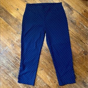 NWOT Attyre NY Jeweled Capri Pants